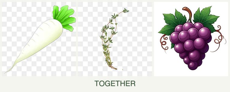 Can you plant radishes, thyme and grapes together?