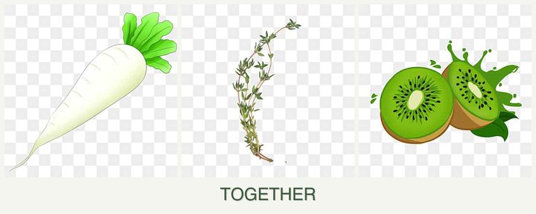 Can you plant radishes, thyme and kiwi together?