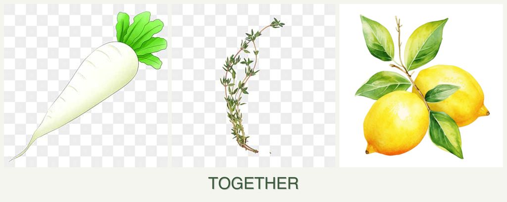 Can you plant radishes, thyme and lemons together?