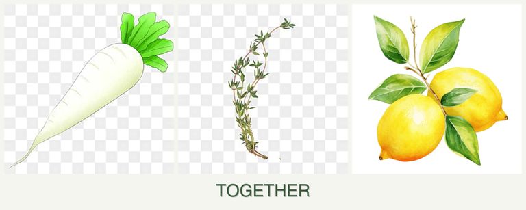 Can you plant radishes, thyme and lemons together?