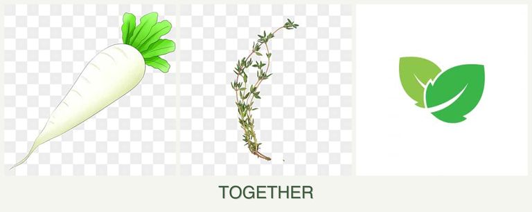Can you plant radishes, thyme and mint together?