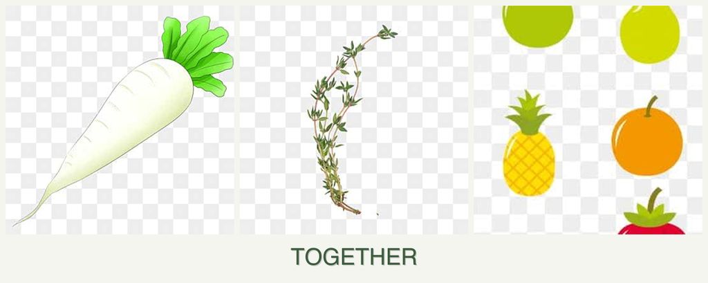 Can you plant radishes, thyme and pears together?