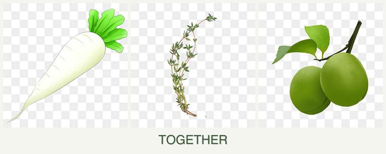 Can you plant radishes, thyme and plums together?