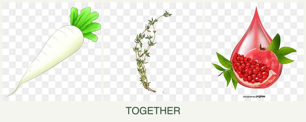 Can you plant radishes, thyme and pomegranates together?