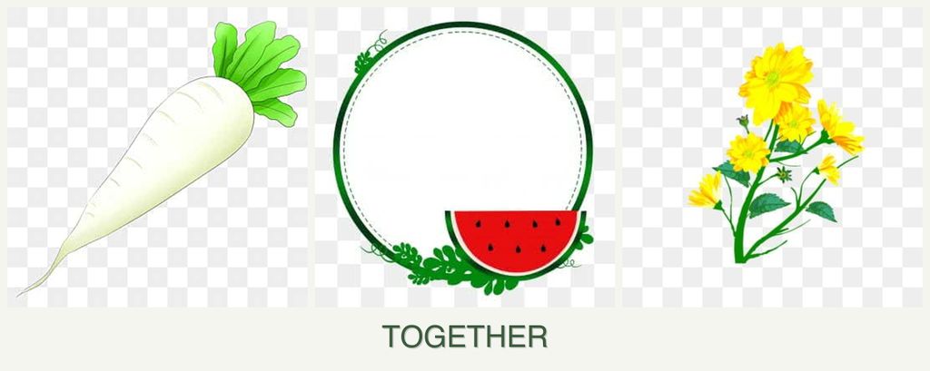 Can you plant radishes, watermelons and calendula together?