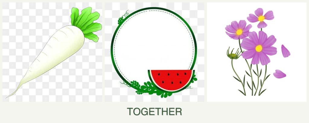 Can you plant radishes, watermelons and cosmos together?