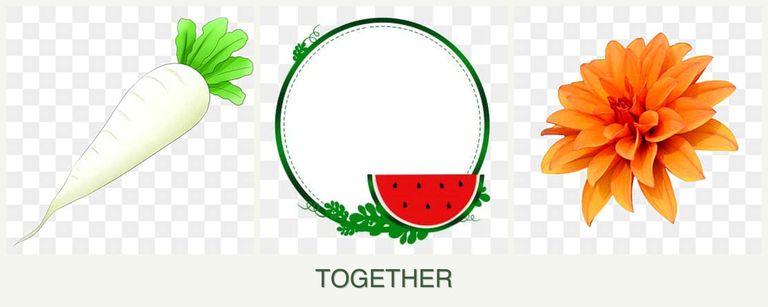 Can you plant radishes, watermelons and dahlias together?