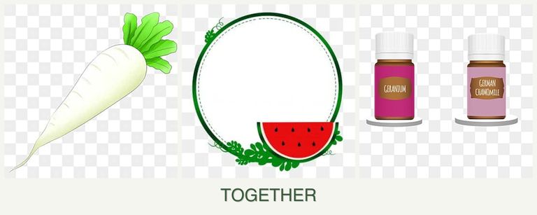 Can you plant radishes, watermelons and geraniums together?