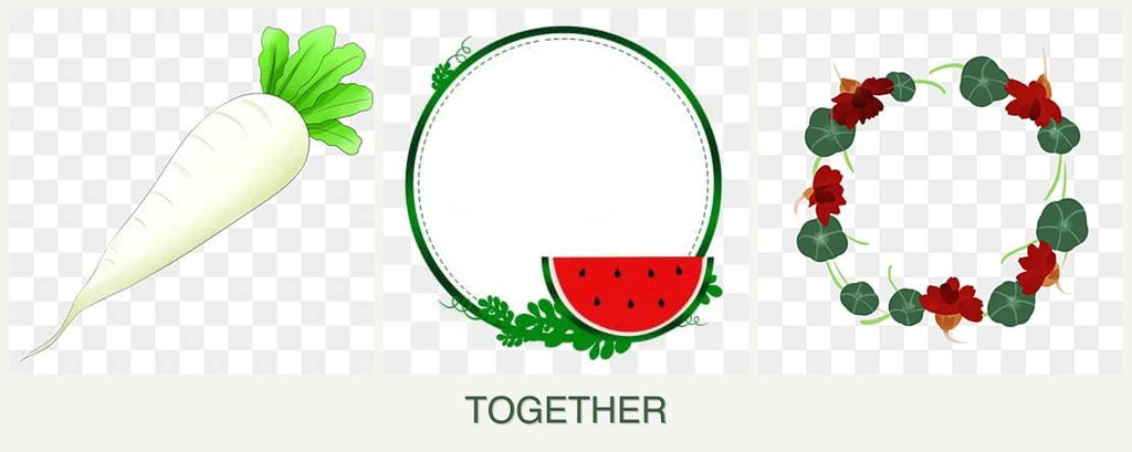 Can you plant radishes, watermelons and nasturtiums together?
