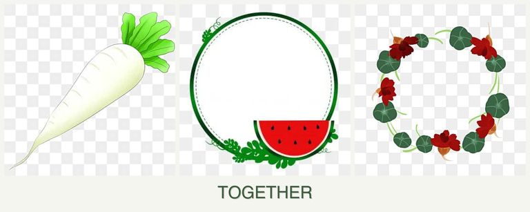 Can you plant radishes, watermelons and nasturtiums together?