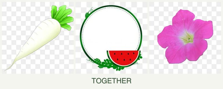 Can you plant radishes, watermelons and petunias together?