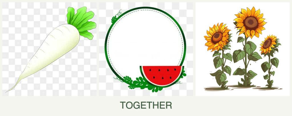 Can you plant radishes, watermelons and sunflowers together?