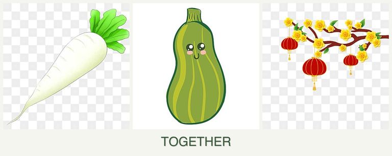 Can you plant radishes, zucchini and apricots together?