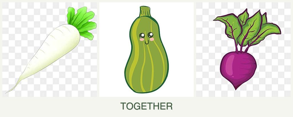 Can you plant radishes, zucchini and beets together?