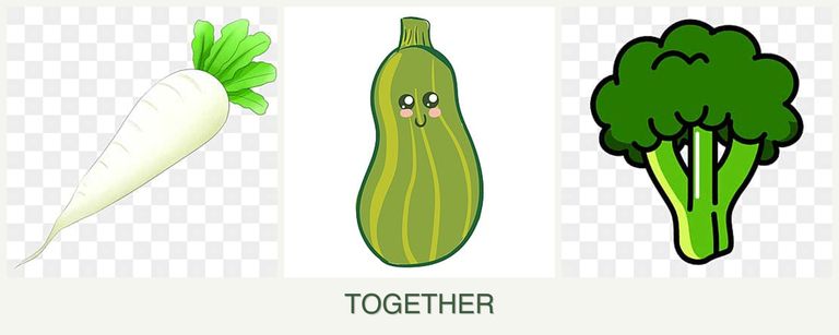 Can you plant radishes, zucchini and broccoli together?