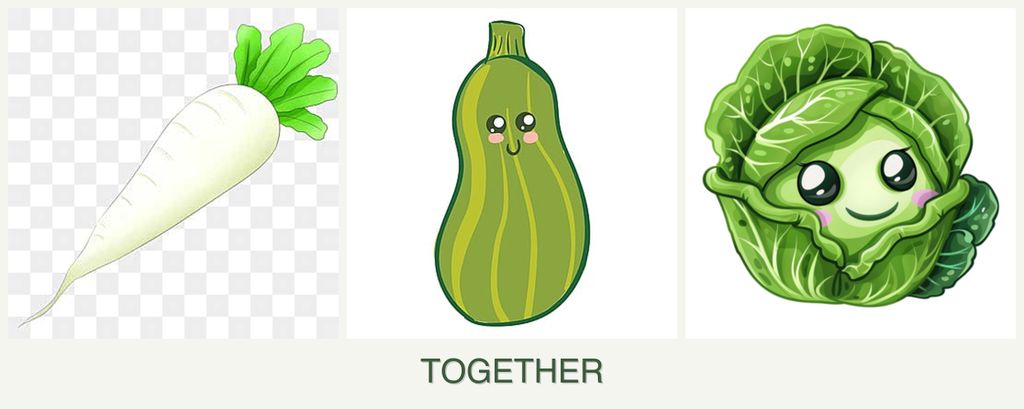 Can you plant radishes, zucchini and cabbage together?