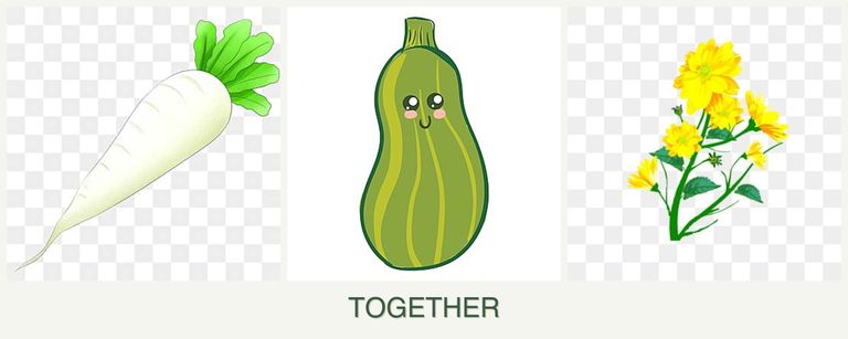 Can you plant radishes, zucchini and calendula together?
