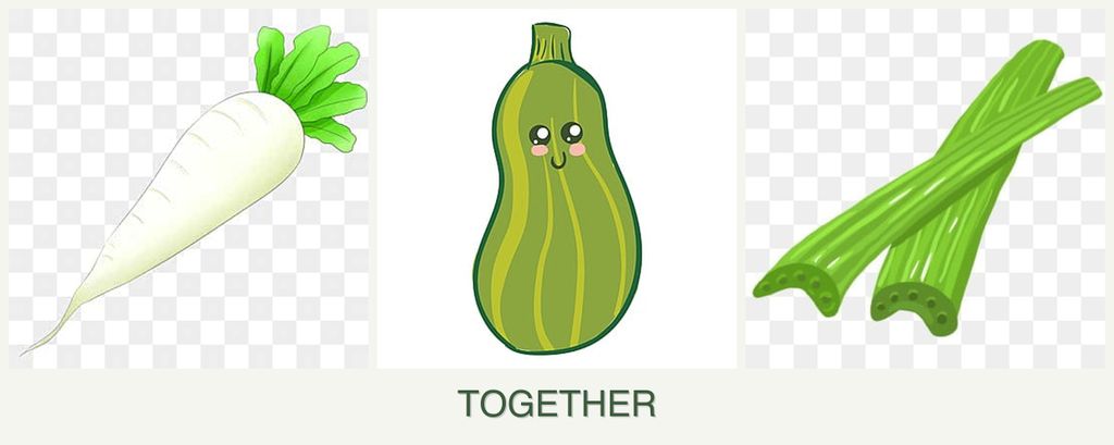 Can you plant radishes, zucchini and celery together?