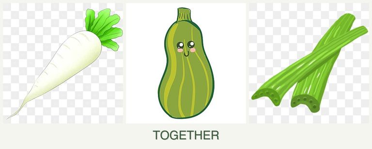 Can you plant radishes, zucchini and celery together?