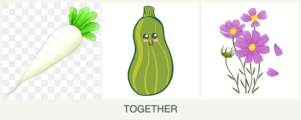 Can you plant radishes, zucchini and cosmos together?