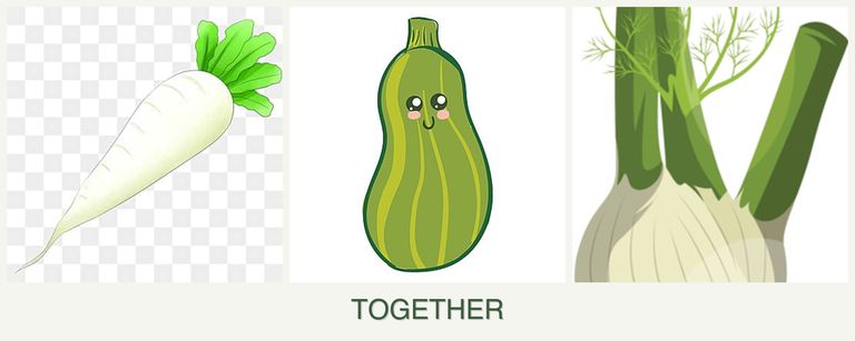 Can you plant radishes, zucchini and fennel together?