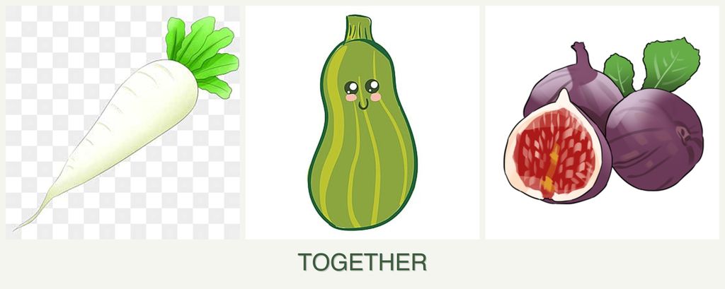 Can you plant radishes, zucchini and figs together?