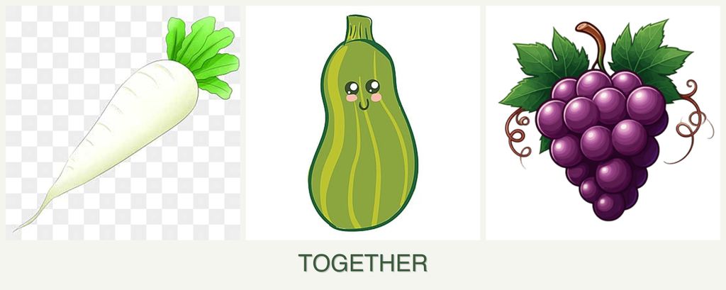 Can you plant radishes, zucchini and grapes together?