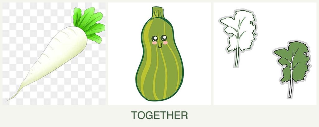 Can you plant radishes, zucchini and kale together?
