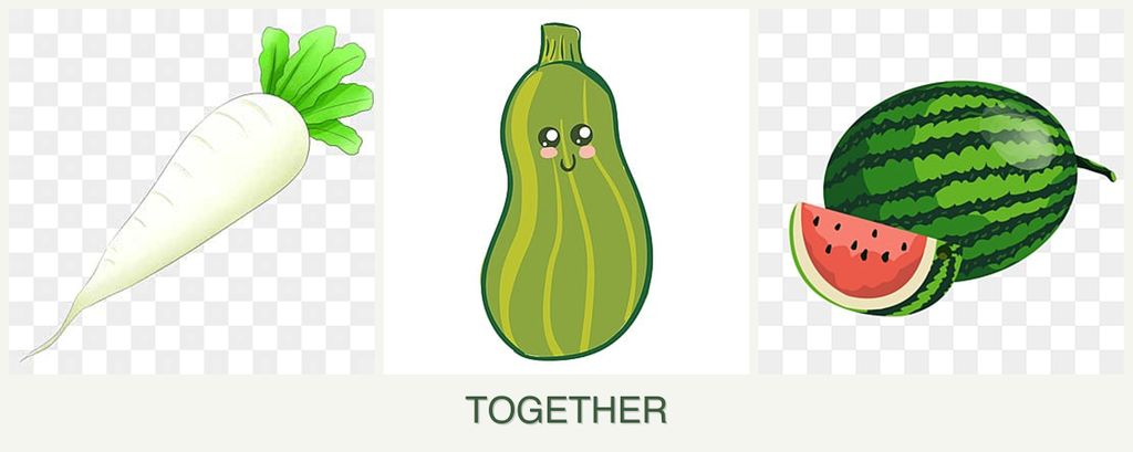 Can you plant radishes, zucchini and melons together?