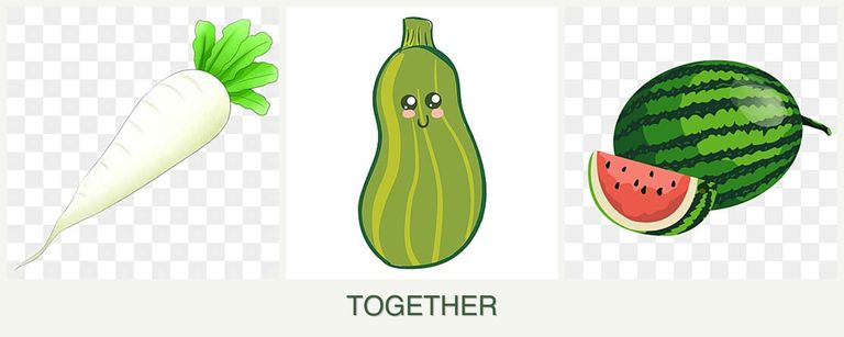 Can you plant radishes, zucchini and melons together?