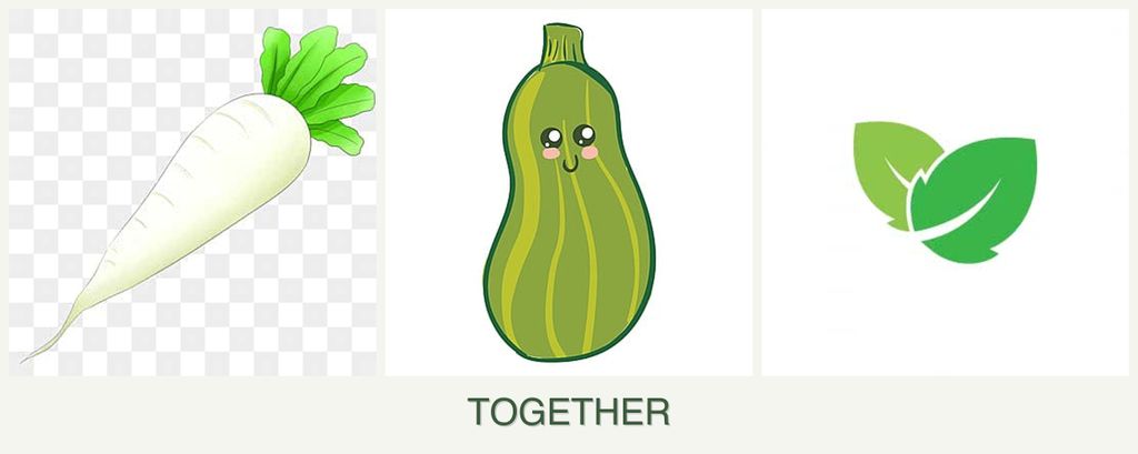 Can you plant radishes, zucchini and mint together?