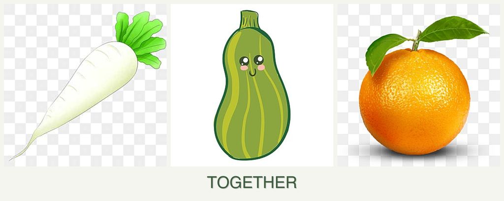 Can you plant radishes, zucchini and oranges together?