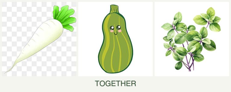 Can you plant radishes, zucchini and oregano together?