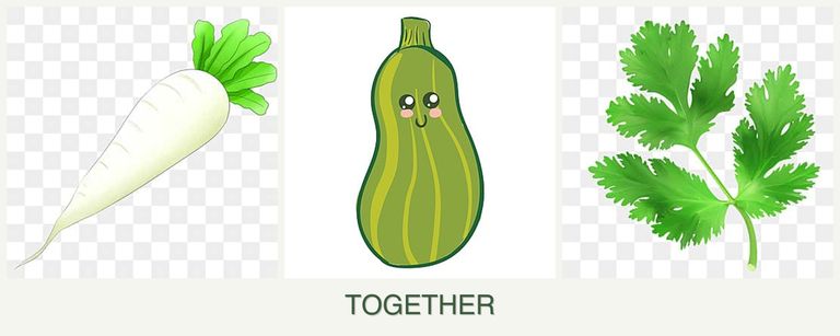 Can you plant radishes, zucchini and parsley together?