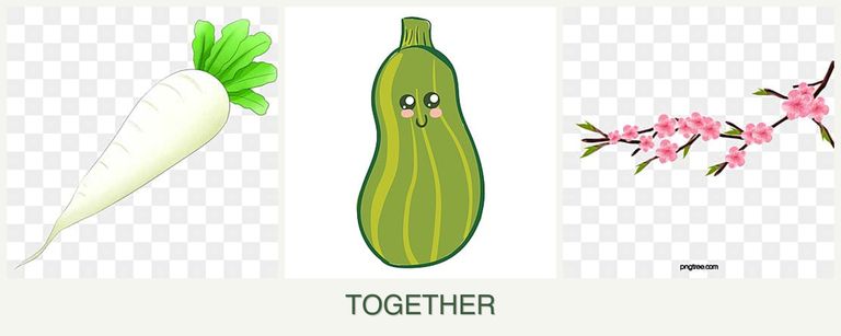 Can you plant radishes, zucchini and peaches together?