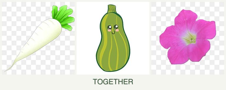 Can you plant radishes, zucchini and petunias together?