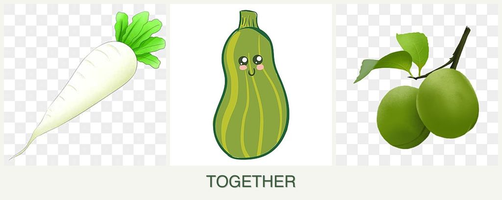 Can you plant radishes, zucchini and plums together?
