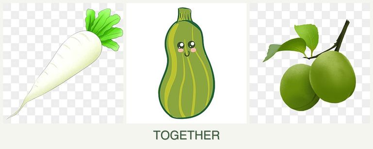 Can you plant radishes, zucchini and plums together?