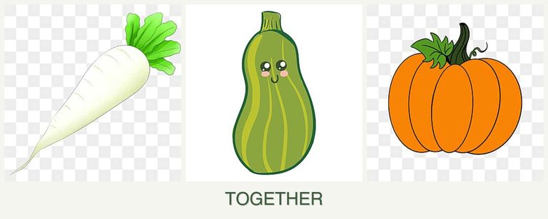Can you plant radishes, zucchini and pumpkin together?