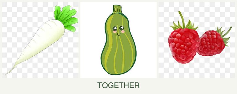 Can you plant radishes, zucchini and raspberries together?