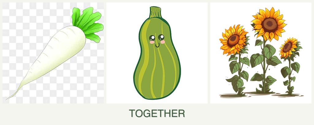 Can you plant radishes, zucchini and sunflowers together?