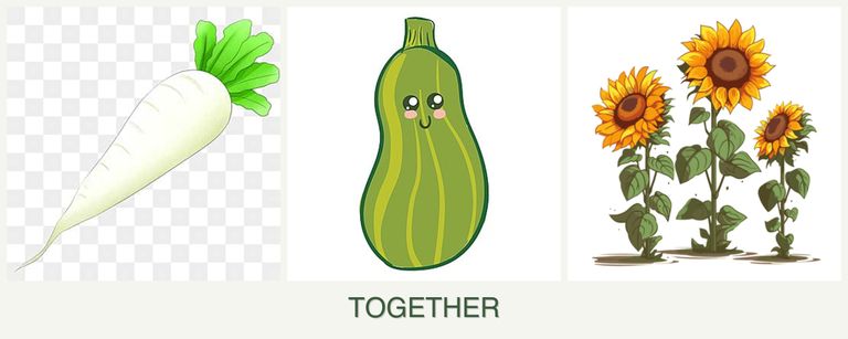 Can you plant radishes, zucchini and sunflowers together?