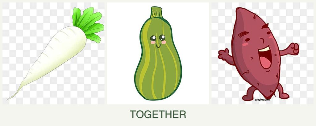 Can you plant radishes, zucchini and sweet potatoes together?