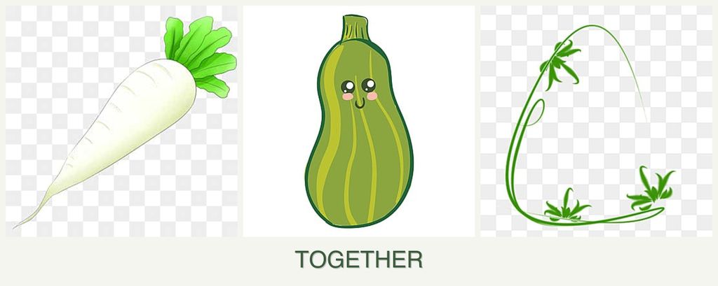 Can you plant radishes, zucchini and tarragon together?
