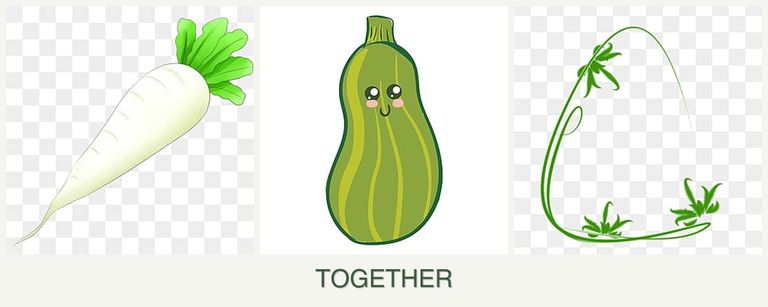Can you plant radishes, zucchini and tarragon together?