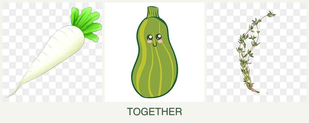 Can you plant radishes, zucchini and thyme together?