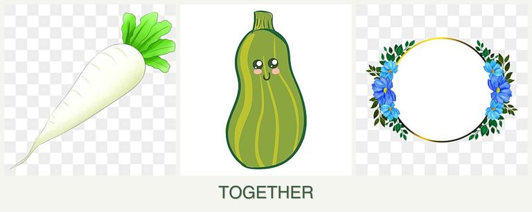 Can you plant radishes, zucchini and zinnias together?