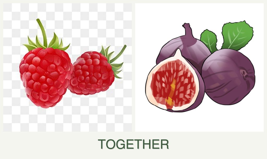 Can you plant raspberries and figs together?