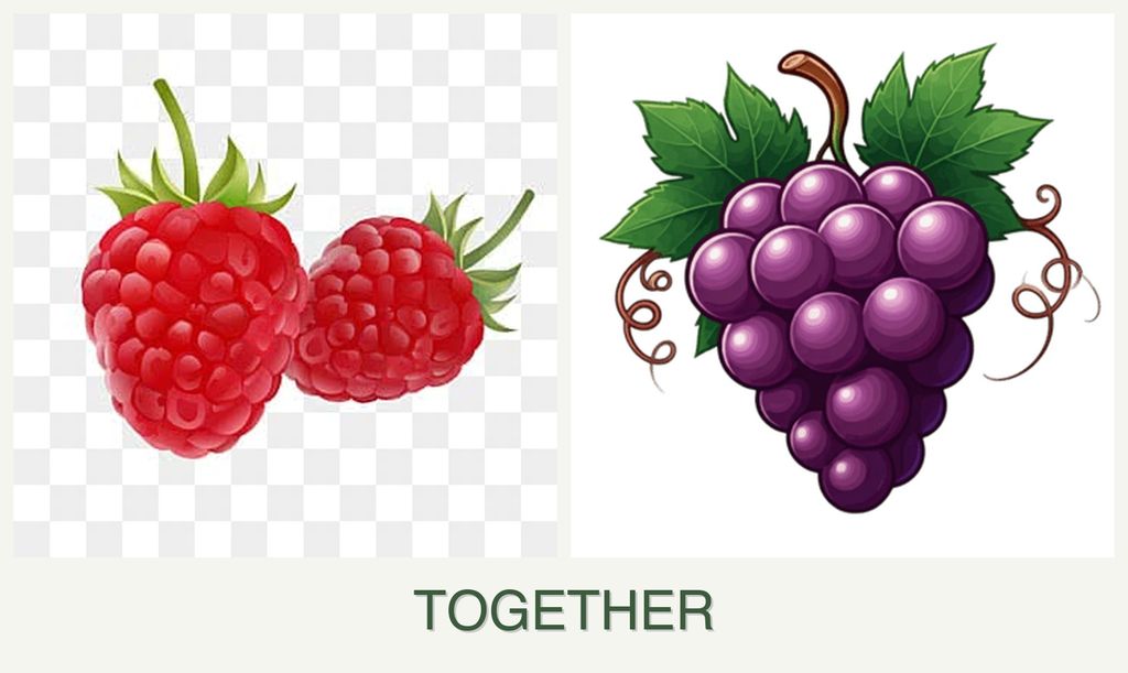 Can you plant raspberries and grapes together?