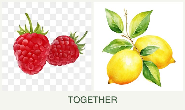 Can you plant raspberries and lemons together?